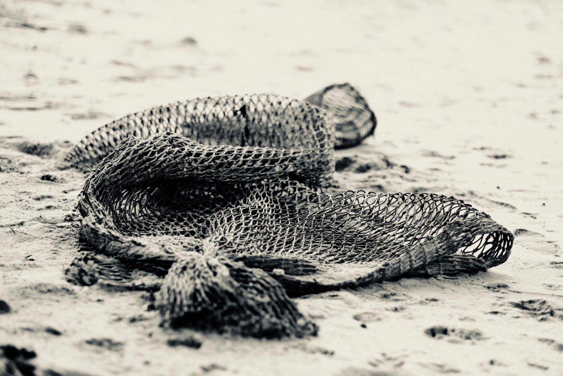 Don’t waste the Beach